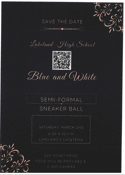  Blue and White Sneaker Ball